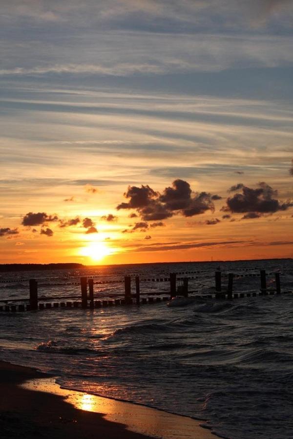 Apartament Glebbe 66 _ Hus Suennschien Zingst Zewnętrze zdjęcie
