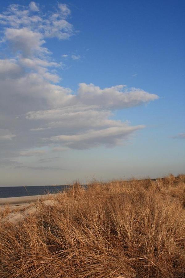 Apartament Glebbe 66 _ Hus Suennschien Zingst Zewnętrze zdjęcie
